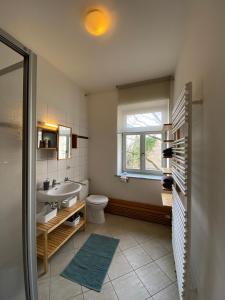 德累斯顿Apartments Dresden Neustadt Apartment LOUISE的一间带水槽和卫生间的浴室以及窗户。