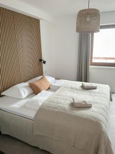 维尔德科格尔山麓布兰贝格Hotel Der Drahtesel的卧室配有一张大白色床和窗户