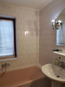 波亚纳布拉索夫Cabana Fantanita cu Brazi的带浴缸、水槽和窗户的浴室