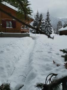 波亚纳布拉索夫Cabana Fantanita cu Brazi的小屋前的雪覆盖路径