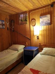 波亚纳布拉索夫Cabana Fantanita cu Brazi的小房间设有两张床和一盏灯