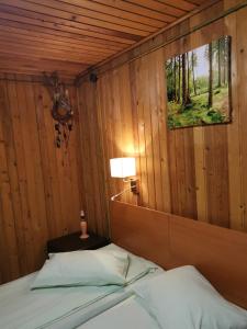 波亚纳布拉索夫Cabana Fantanita cu Brazi的卧室配有一张床铺,位于带木墙的房间内