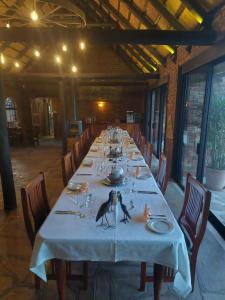 GrootfonteinFiume Lodge CC的一张长餐桌,上面有鸟儿