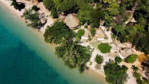 象岛The Tropical Beach Resort的享有树木和水面海滩的空中景致
