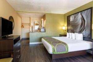 弗拉格斯塔夫NAU会议中心/市区速8酒店的配有一张床和一台平面电视的酒店客房