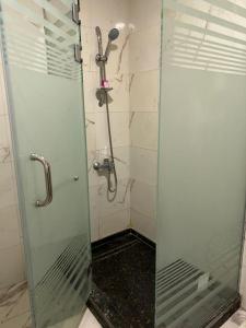 亚历山大Regency Hotel Alexandria的浴室里设有玻璃门淋浴