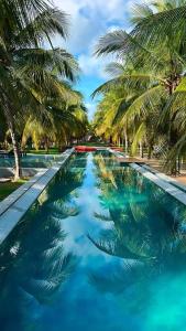 圣米格尔-杜斯米拉格里斯他图若别墅的一座棕榈树和蓝色海水游泳池