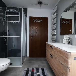 BärnauFerienwohnung Brigitte Frank的带淋浴、卫生间和盥洗盆的浴室