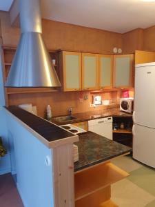列克萨Hostelli Kotiranta的厨房配有冰箱和炉灶。