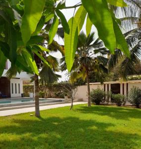 索蒙Villa Carabane的种植了绿色草和棕榈树的院子