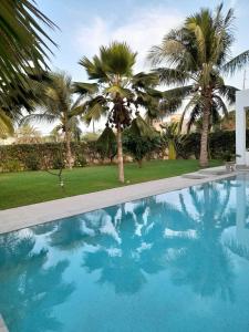 索蒙Villa Carabane的一座棕榈树环绕的游泳池