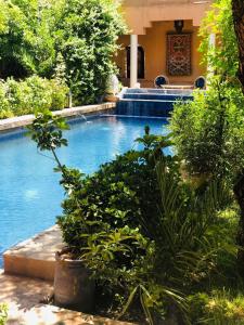 瓦尔扎扎特Riad Tama & spa的一座别墅前的植物游泳池