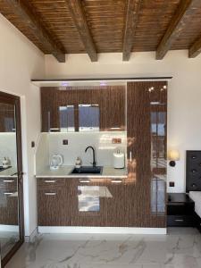 多斯帕特Villa ART的厨房配有水槽和台面