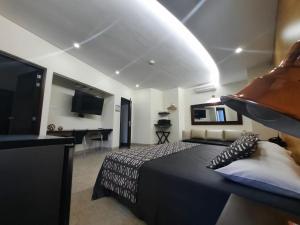 麦德林梅迪特拉内奥酒店的一间卧室配有一张床和一台平面电视
