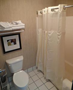 奥尔巴尼凤凰套房酒店 的一间浴室