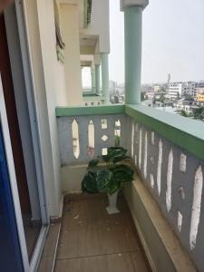 蒙巴萨Mash Studio Apartment的阳台,地板上种植了植物