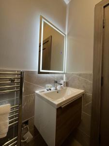 莫特Horseleap BNB的浴室设有白色水槽和镜子