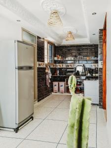 塔姆拉赫特乌兹达尔cactus surf house的厨房配有不锈钢冰箱和仙人掌