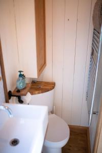 Pen y ClawddHarrys Hideout - Shepherd's Huts at Harrys Cottages的一间带卫生间和水槽的小浴室