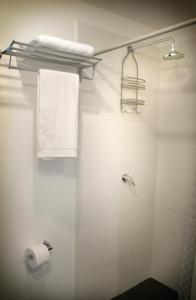 基多水边公寓的浴室设有淋浴和卷卫生纸。
