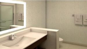 迈阿密迈阿密机场东套房智选假日酒店的一间带水槽、镜子和卫生间的浴室