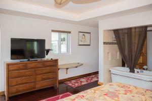 蒙特哥贝Seascape Villa的一间卧室配有带梳妆台和浴缸的电视