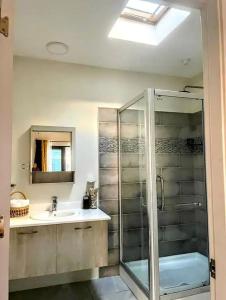 迪斯卡弗里贝Wynters'Escape-gated 1 or 2 Bedroom w PuertoSecoBeach access的一间带玻璃淋浴和水槽的浴室