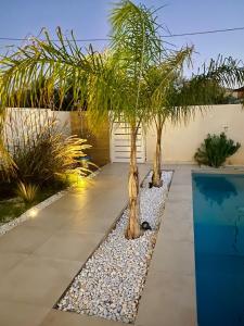马尔扎梅米Somosagua Marzamemi的一座花园,花园内种植了两棵棕榈树,并设有一个游泳池