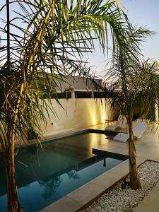 马尔扎梅米Somosagua Marzamemi的一座房子前面的游泳池,两棵棕榈树