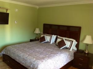 海恩斯章克申帕克赛德酒店的绿色卧室配有带枕头的大床