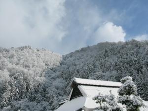 AyabeSatoyama Guest House Couture - Vacation STAY 43859v的一座满是树木的雪覆盖的山,一座房子