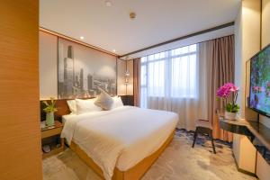 广州广州白云城市酒店的酒店客房设有一张大床和一台电视。
