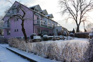 博登斯边的拉多夫采尔Iris am See garni的紫色房子,地面上有雪