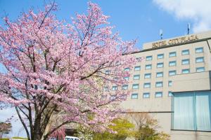 北上市城市广场北上酒店的一座建筑物前有粉红色花的树