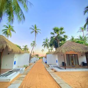 卡尔皮蒂耶The Blue Lagoon Resort Kalpitiya的海滩上一排种有棕榈树的房屋
