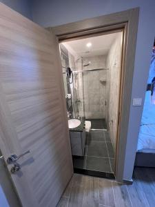 伊斯坦布尔Mudem Boutique Hotel的带淋浴、卫生间和盥洗盆的浴室