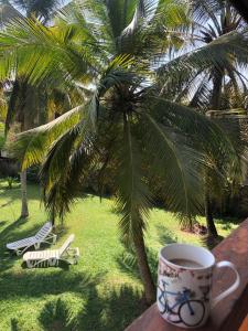 Kalutara NorthCandle House的坐在棕榈树旁边的桌子上喝杯咖啡