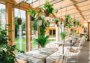 蒂罗尔-泽费尔德HENRI Country House Seefeld的种植了植物的温室,配有桌椅