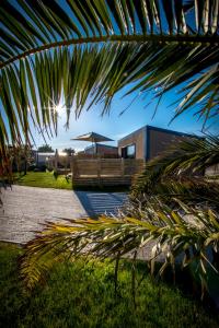 Langrune-sur-MerM&V Resort Camping的房屋前的棕榈树