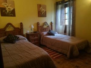 阿古洛Casa Rural Las Avestruces的一间卧室设有两张床和窗户。