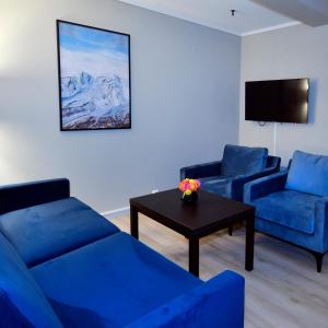 奥勒松Thon Partner Hotel Baronen的客厅配有2张蓝色的沙发和1张桌子