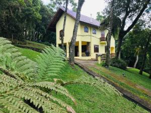 蒙特韦尔迪Pousada 1800 Altitude Monte Verde的一座黄色房子,前面有大片绿色植物
