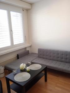 楚格Studio flat in the heart of Zug, ideal for solo travellers的带沙发和咖啡桌的客厅