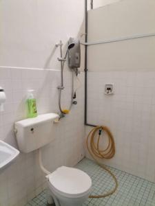 马六甲Eng Ban Hin guesthouse的一间带卫生间和水槽的浴室