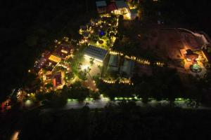 奇克马格尔Honeydewwz Exoticaa Hotel & Resort的夜视街道上灯光