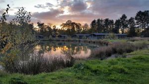 伍德哈尔温泉水疗Bay Tree Lodge: Lakeside lodge w/hot tub & cinema surround sound的田野的池塘,有房子的背景