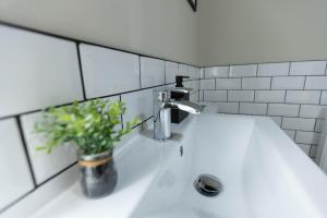 伯肯黑德Luxury Stays的浴室水槽,花瓶上装有植物