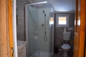 Drumu CaruluiCabana doi mesteceni的带淋浴和卫生间的浴室