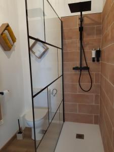 Villiers-le-MorhierAu Charme de l'Eure的浴室设有玻璃淋浴间和卫生间