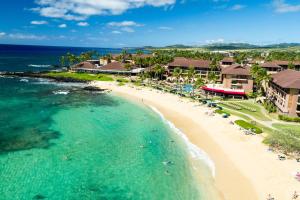 科洛阿考艾岛喜来登度假酒店的享有海滩空中美景。